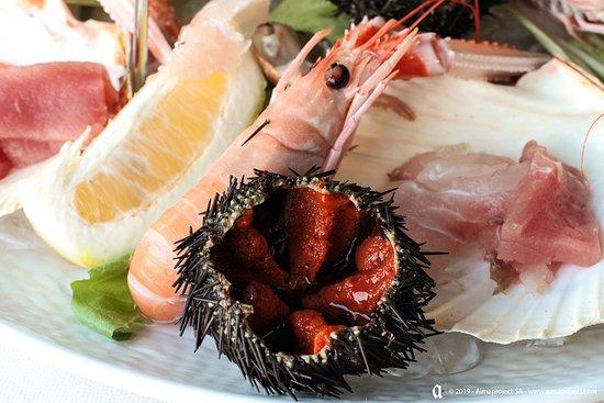 Badalucci Taste of Art